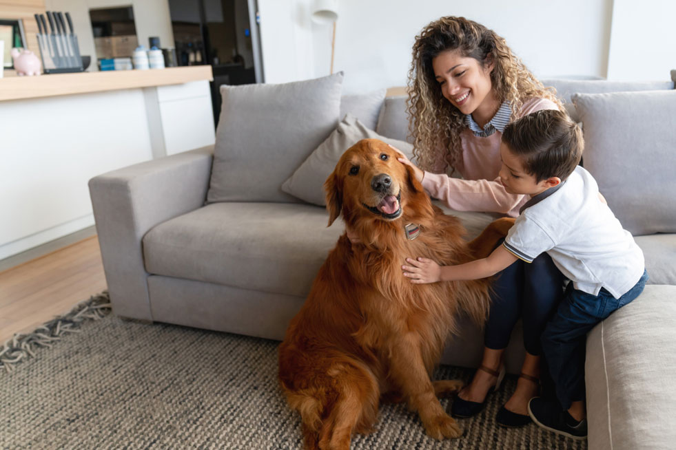 Mother and son petting a dog in the livingroom