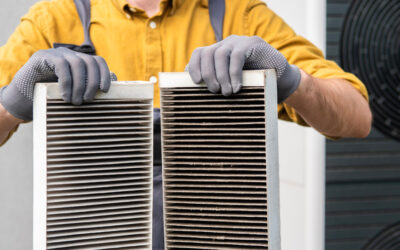 Banish Pollen, Dust, and Pet Dander in Your Pahrump Home with a High-Quality Air Purifier